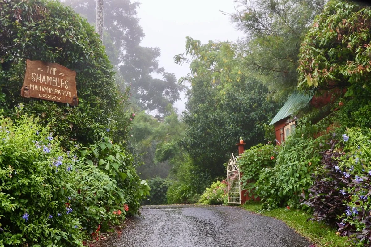 open garden6.jpg