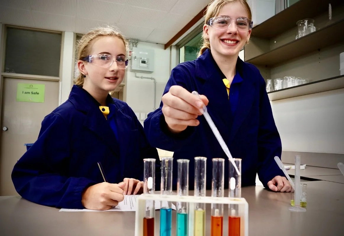 College Pinnacle program taps in to students’ passions