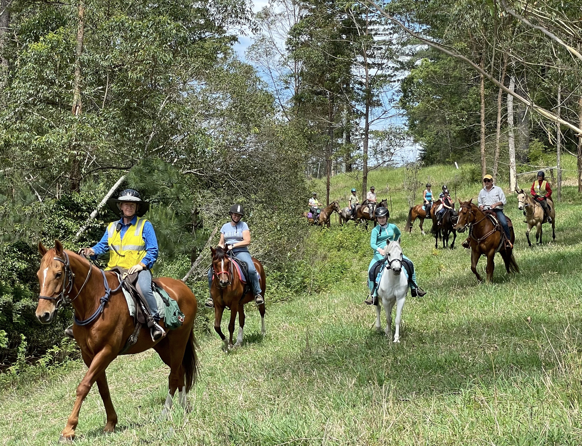 What's On in the hinterland for the next few weeks