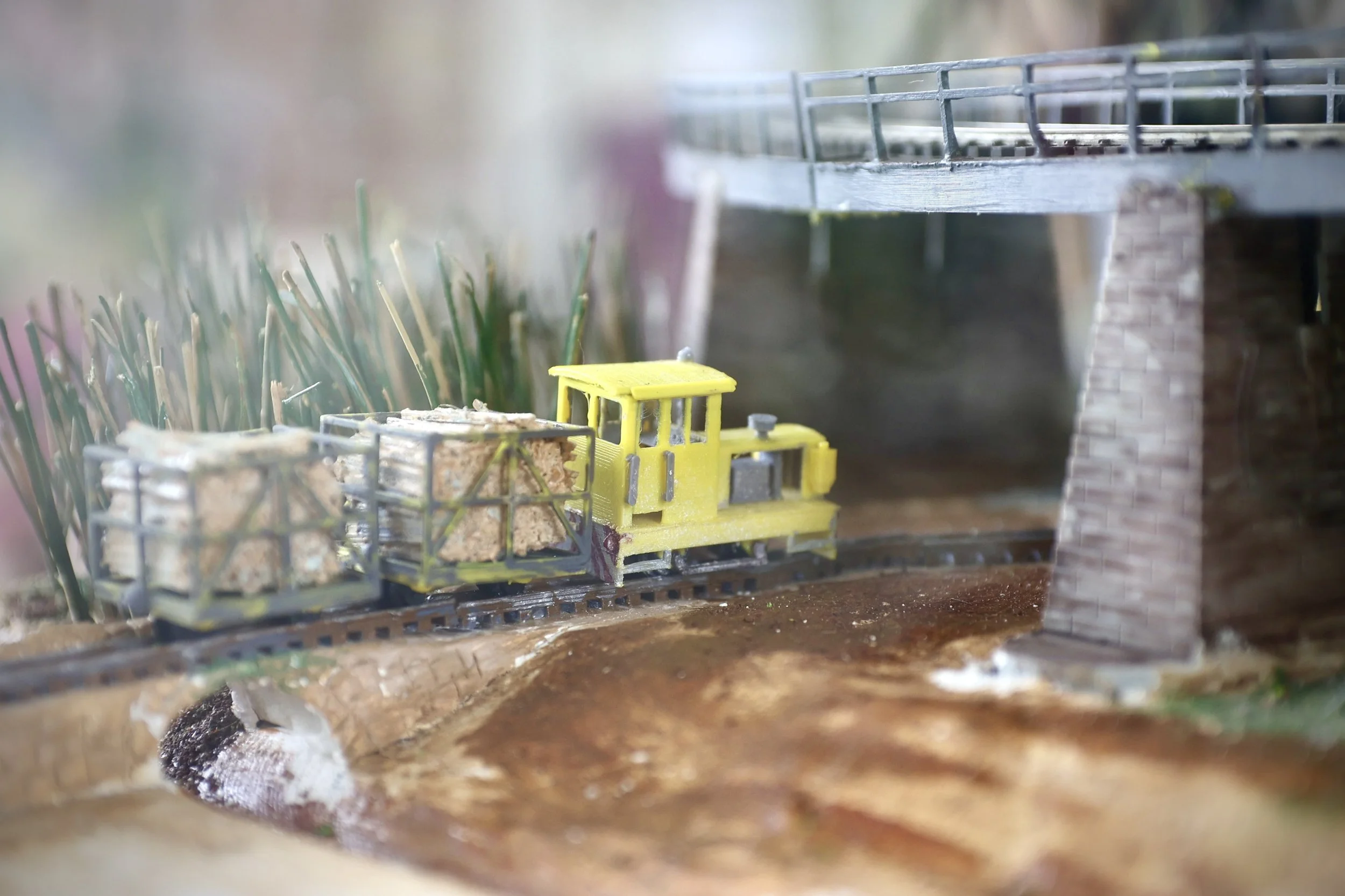 estia health train set cane.JPG