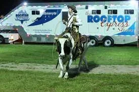 It’s Show time! Bigscreen adds new dimension to main arena 