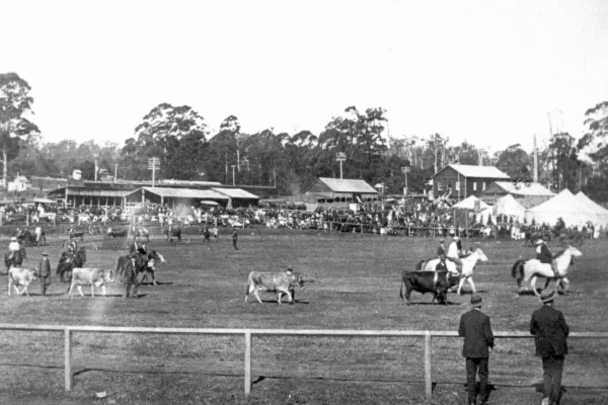 Local show history had its beginnings in Woombye 