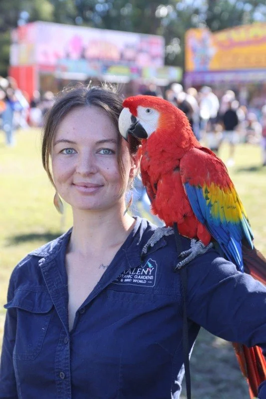 Darcy McCallum with Lilo from Maleny Botanical Gardens and Birdworld.