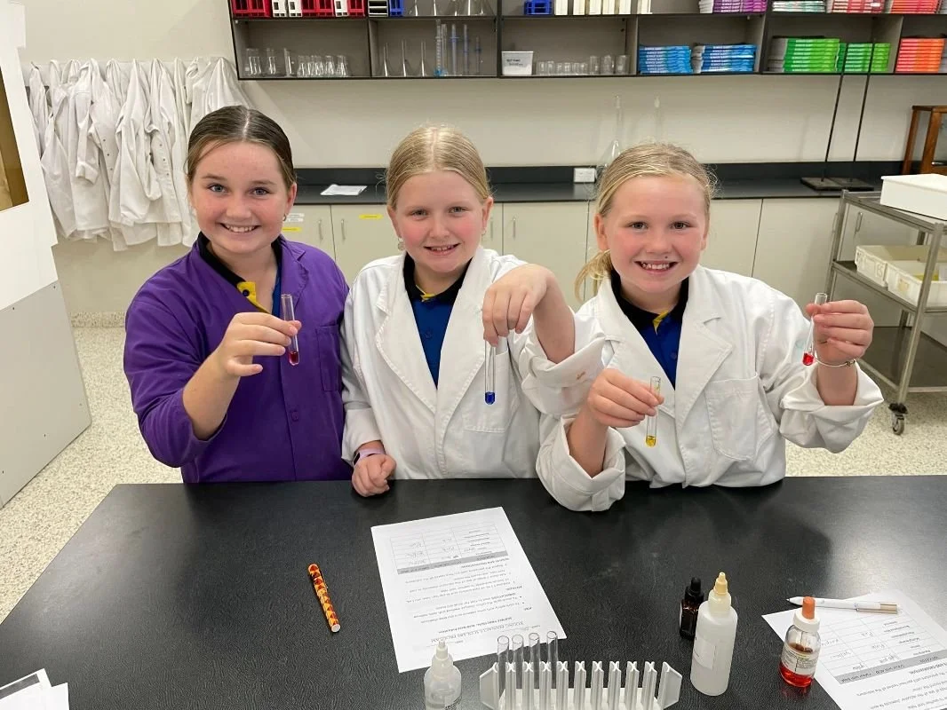 Pinnacle prospects preview College’s renowned program