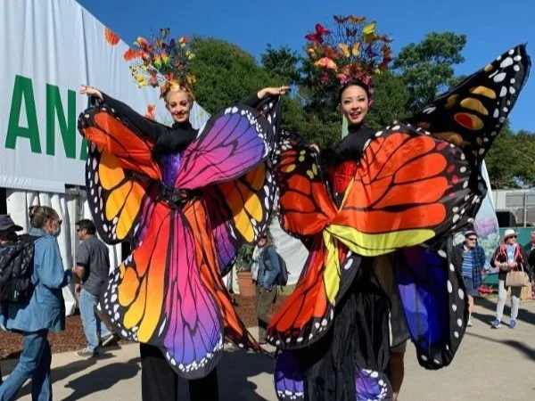 Garden Expo crowds flock to Nambour Showgrounds