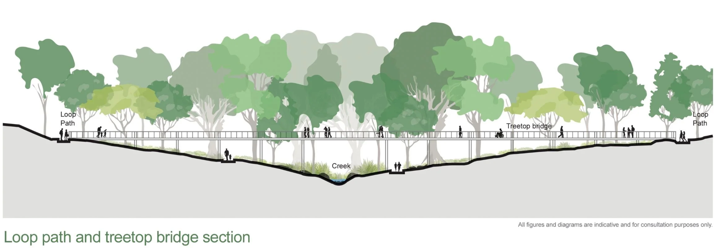 Fancy a walk through the treetops?&nbsp;  How you can help shape Maleny’s new eco-park&nbsp;