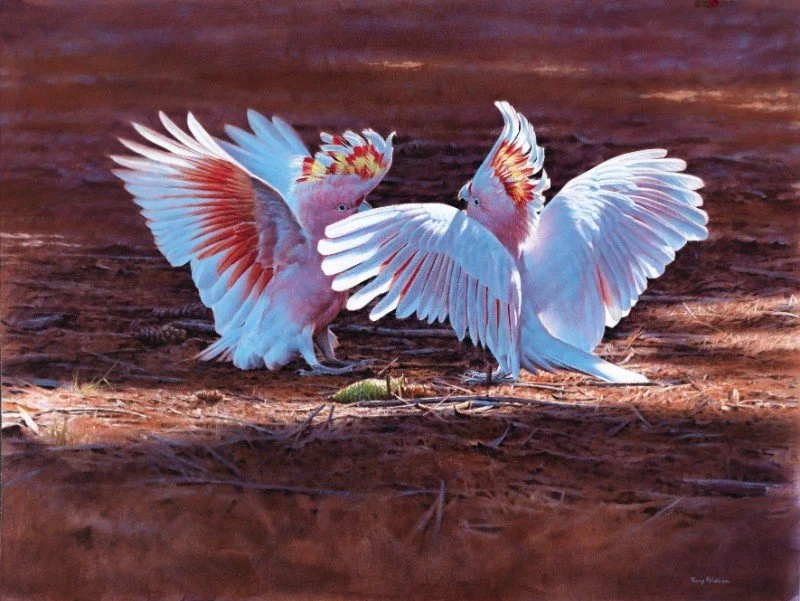 Pridham, Tony. A Major Disagreement.jpg