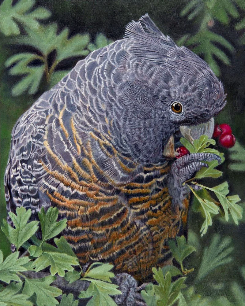 Shelton, Nicky. Cherry Ripe..jpg