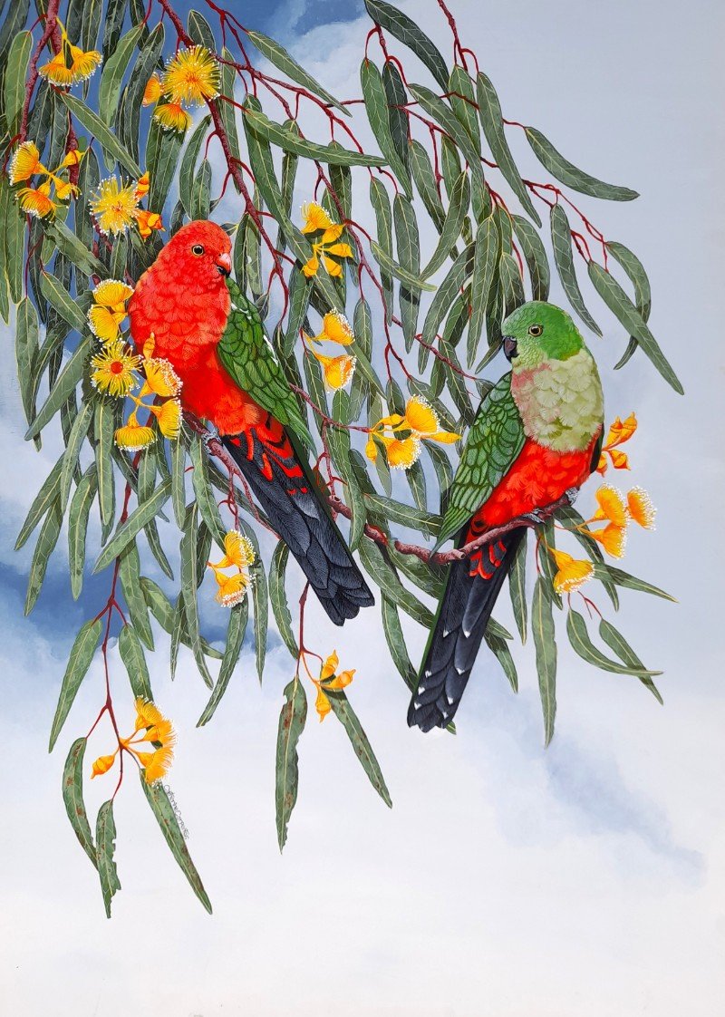 Carpenter, Catherine. King Parrots on Yellow Gum Blossoms.jpg