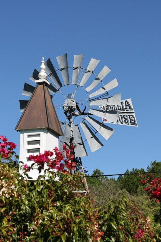 camellia house00005.jpg