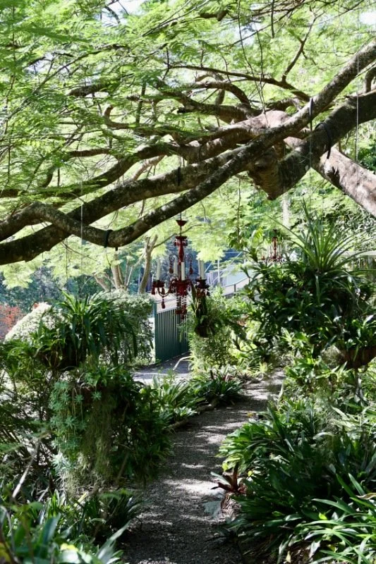 camellia house00006.jpg