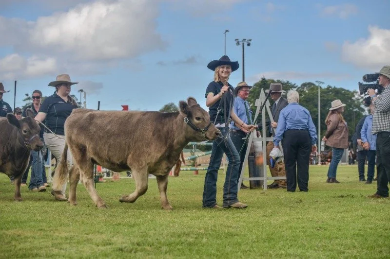maleny show00005.jpg