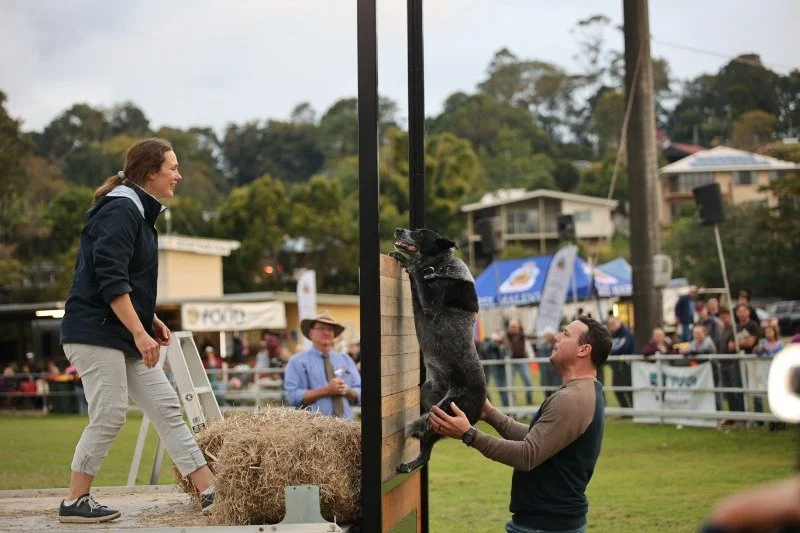 maleny showc00004.jpg