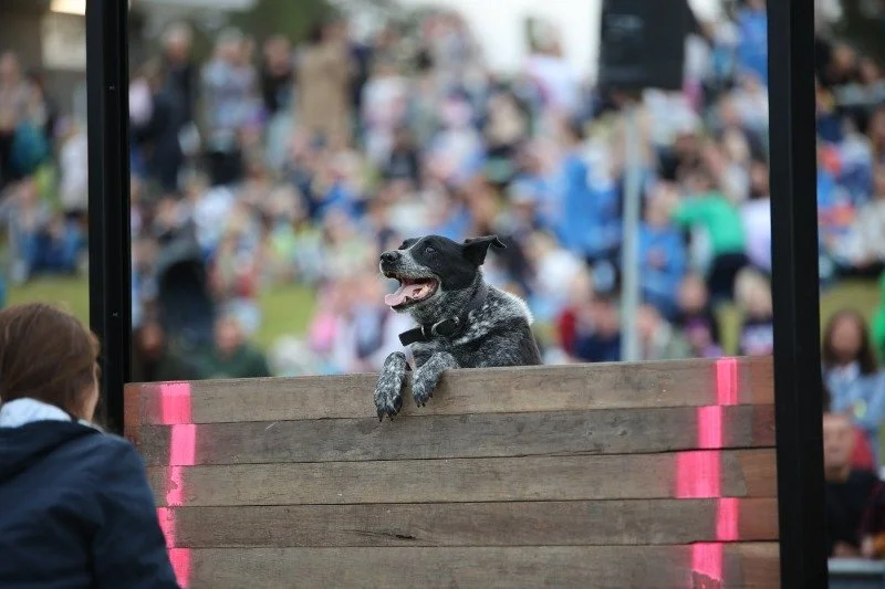 maleny show c00001.jpg