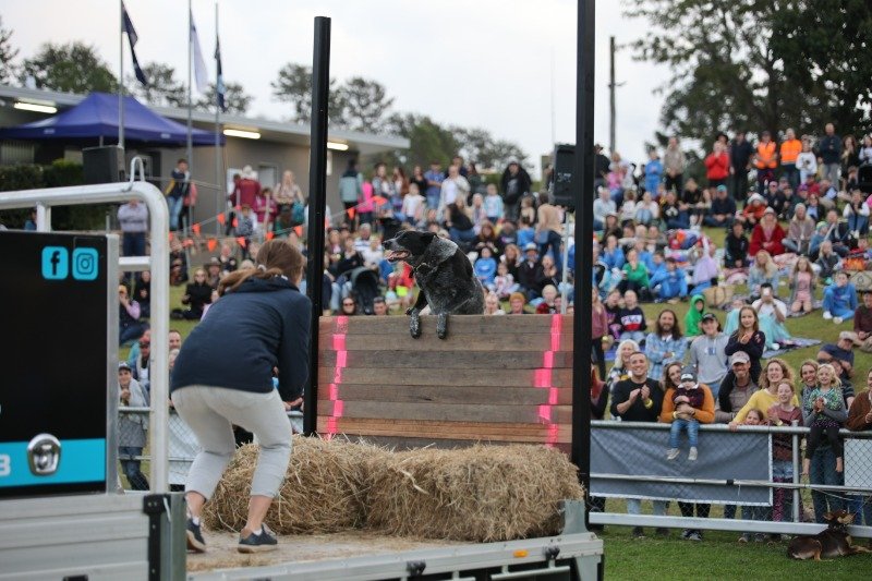 maleny show c00003.jpg