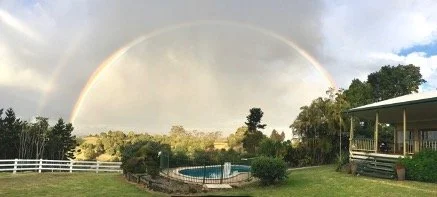 col this old house fig tree rainbow.jpg