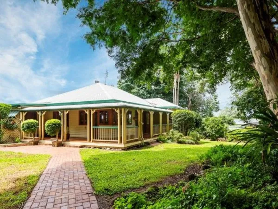 col this old house fig tree1.png