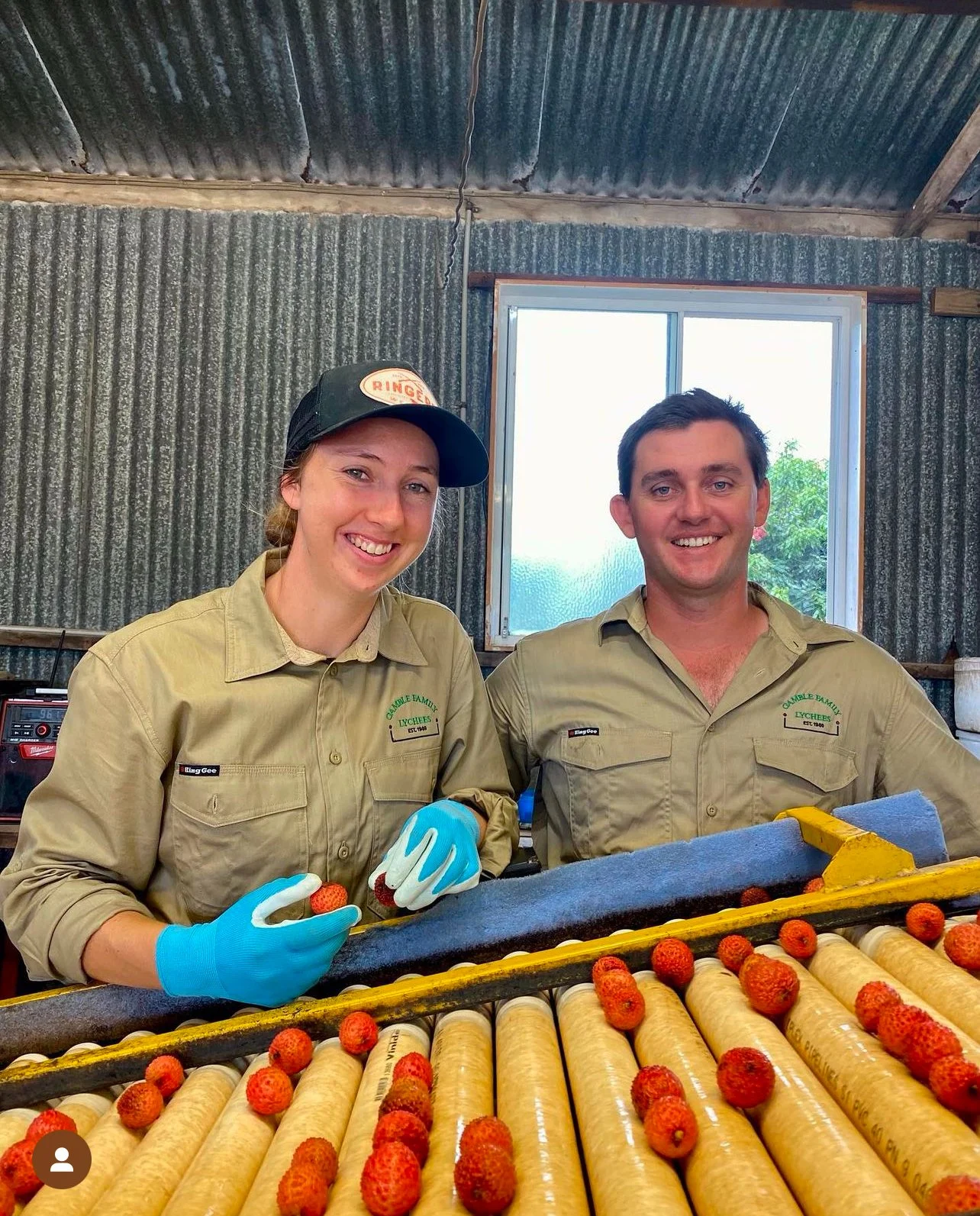 adv Gamble Family Lychees.jpeg