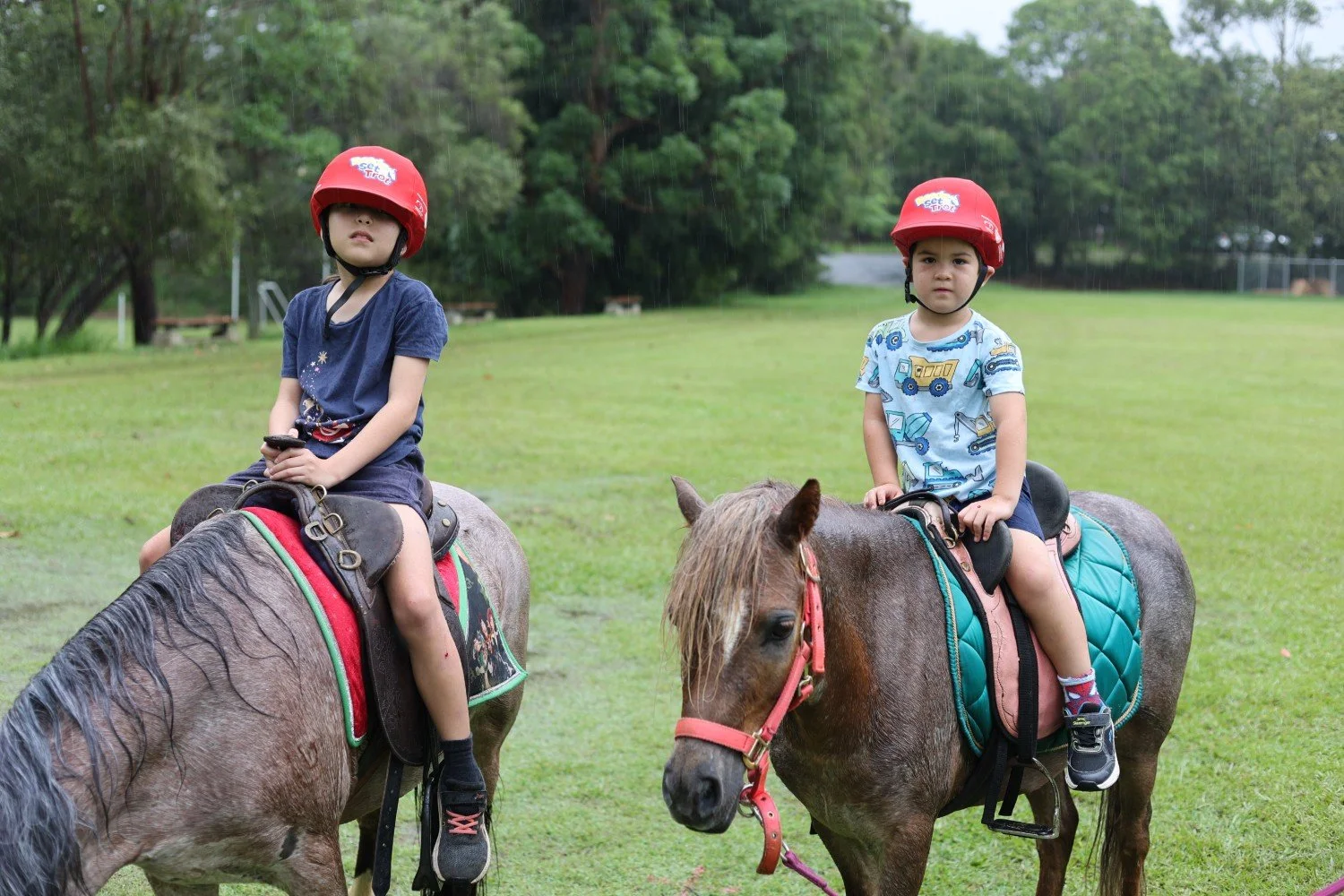 palmwoods christmas8.jpg