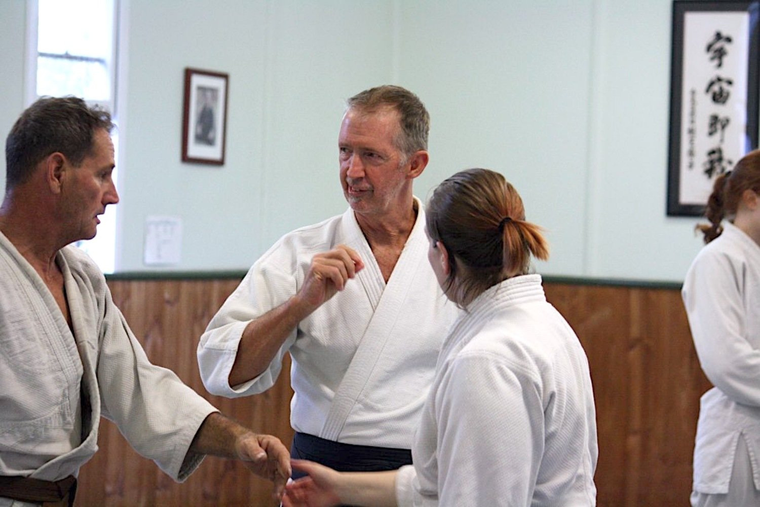 adv Kenshinryu david dangerfield.david dangerfield2.jpg