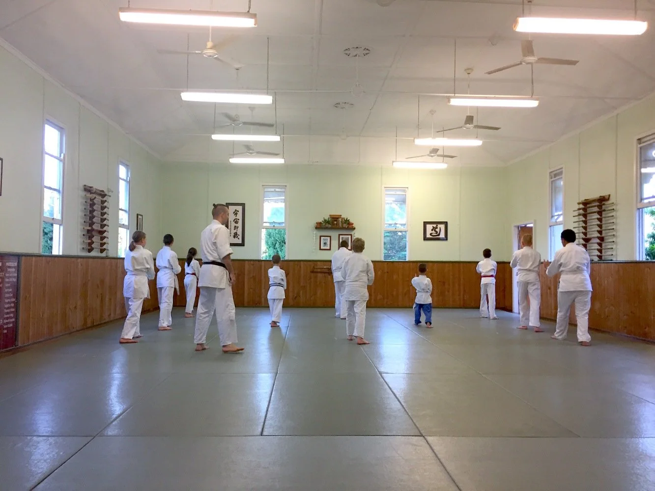 adv Kenshinryu david dangerfield. david dangerfield.jpg