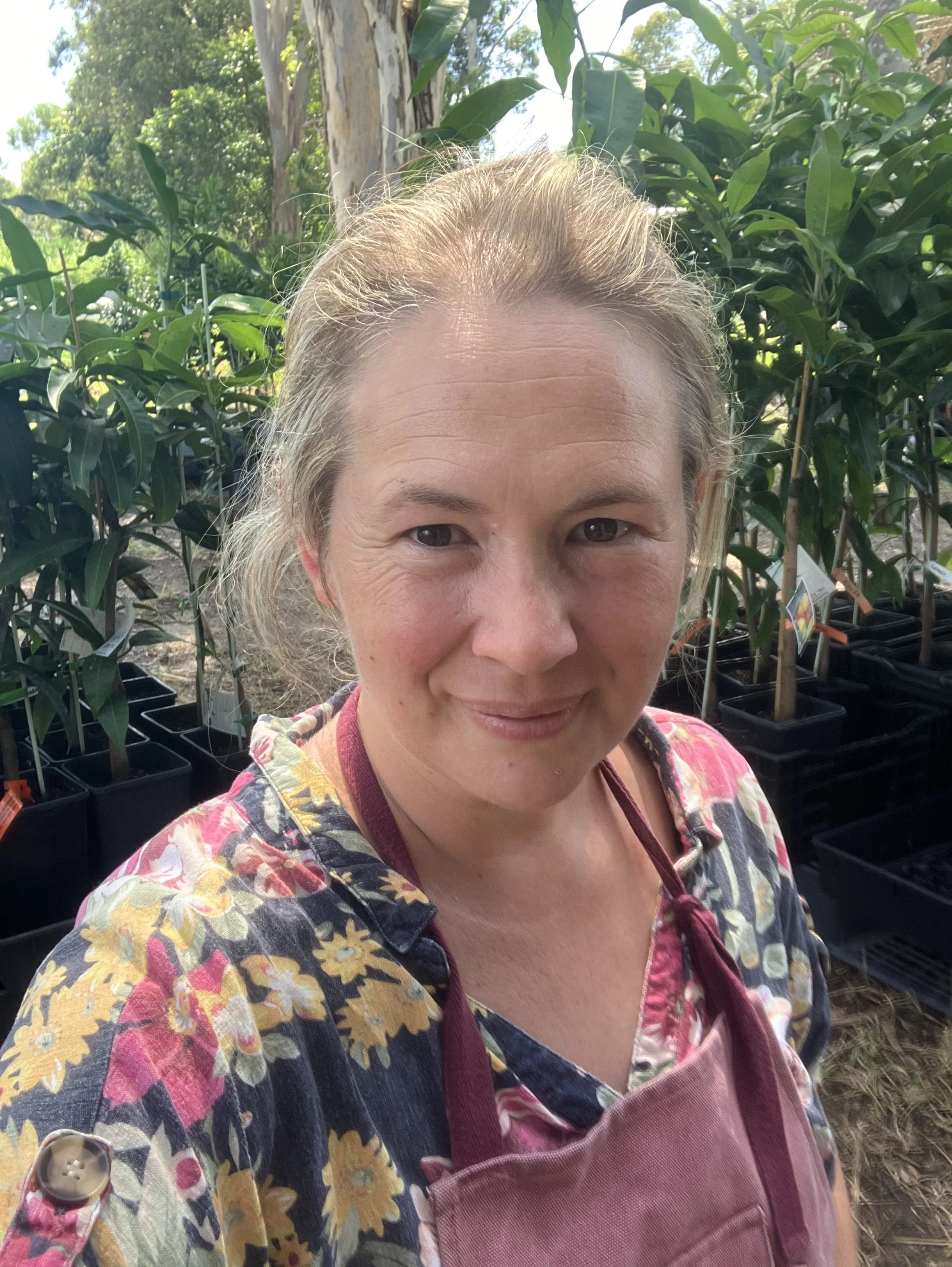 Fruit Tree Cottage nursery on Farleigh Farms hosts ‘Mangos from across the World’ Pop Up event