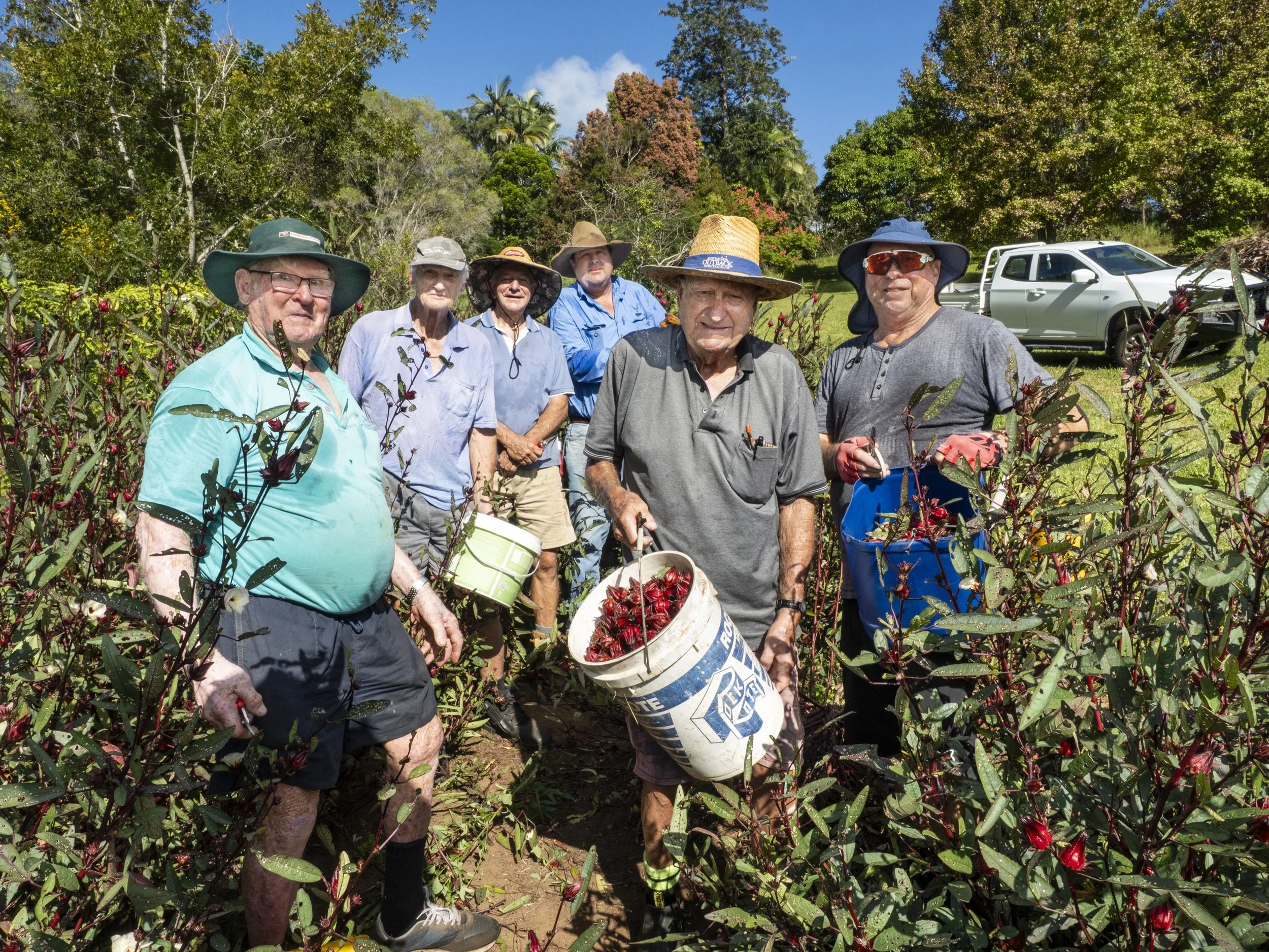 Men’s shed delivers sweet result for local growers