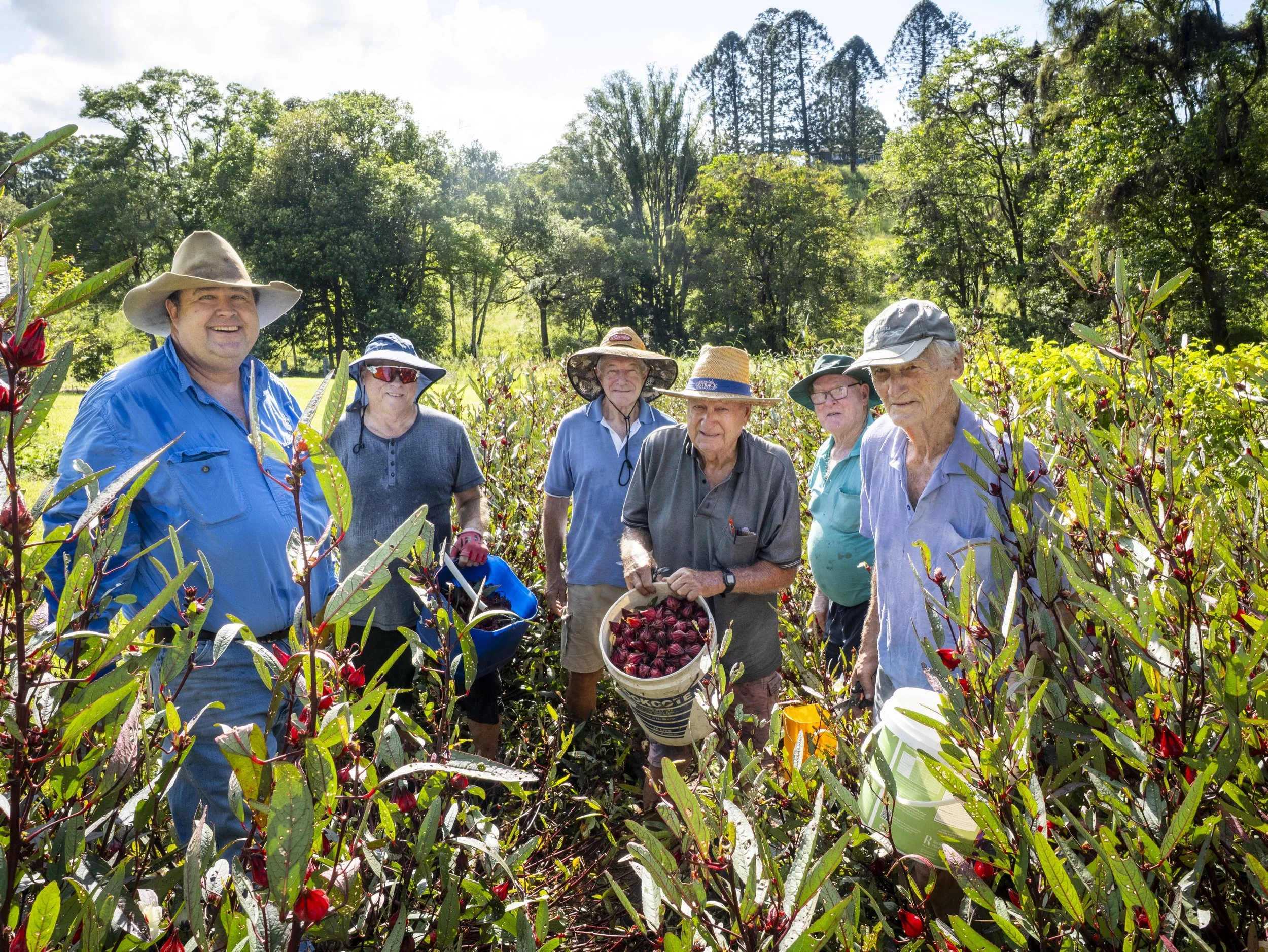 Sunshine Valley Men’s Shed 7.jpg