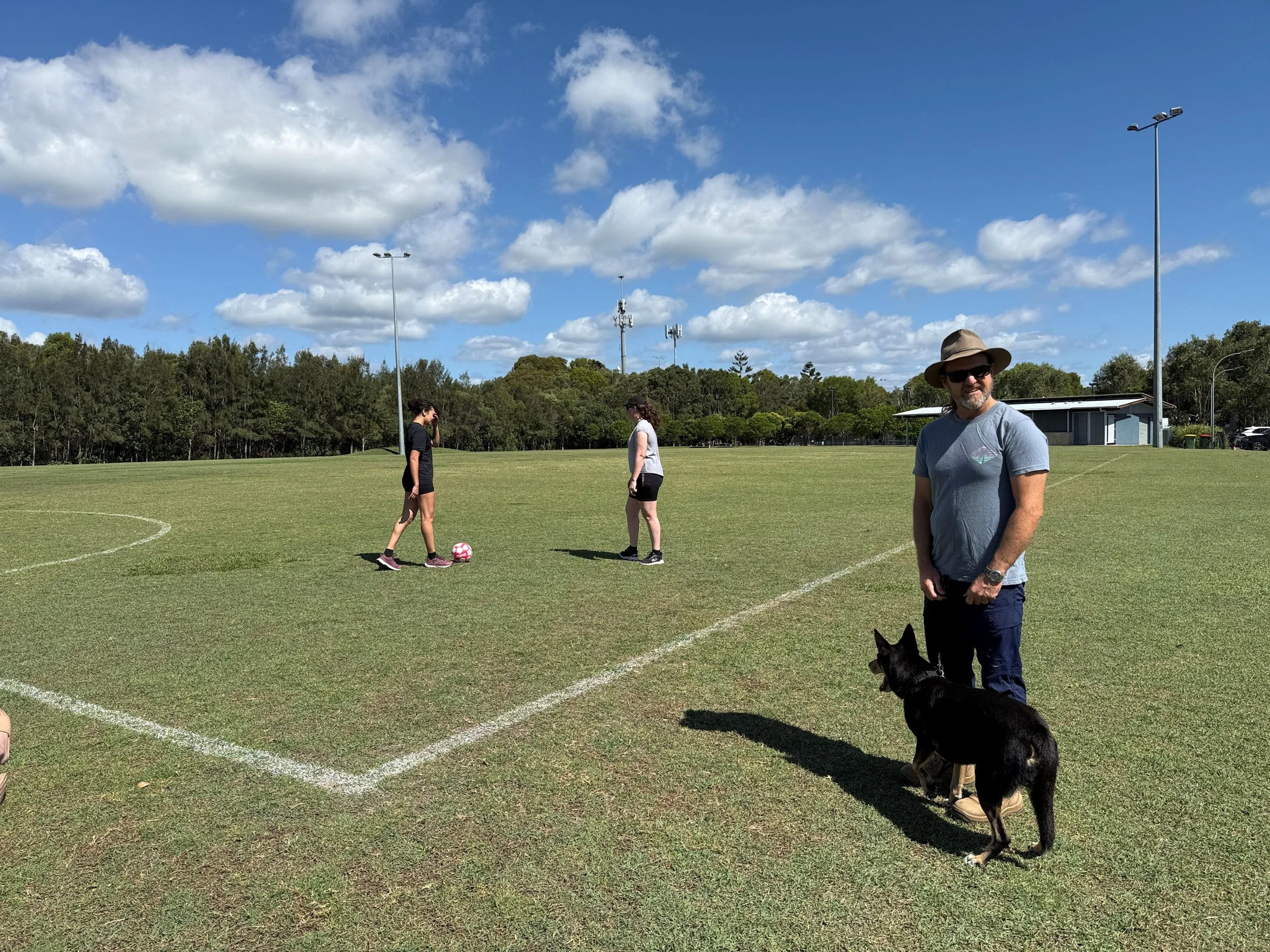 What new laws will mean for exercising dogs