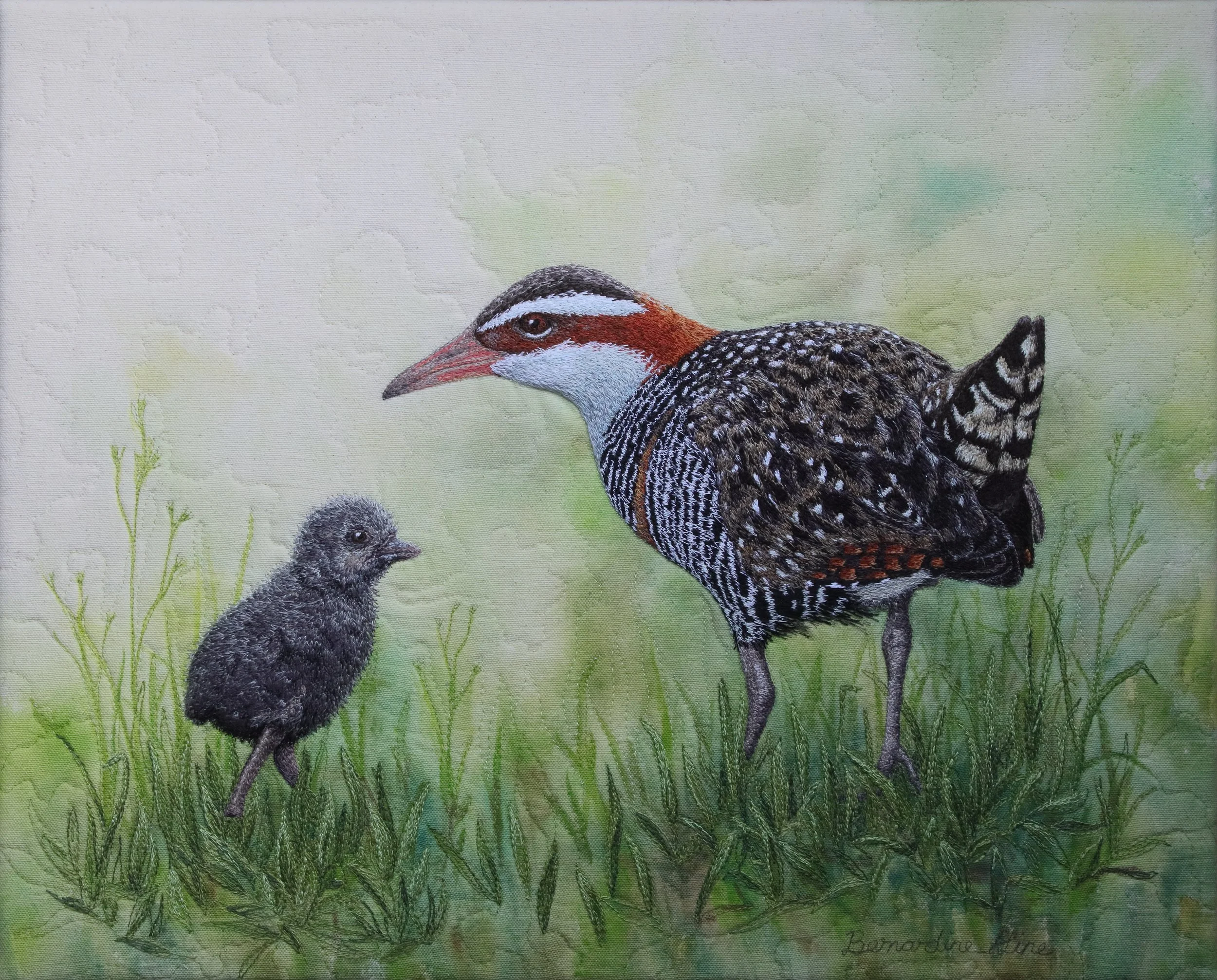 Lifelike bird art takes flight: Holmes Prize returns to Sunshine Coast with $20,000 prize