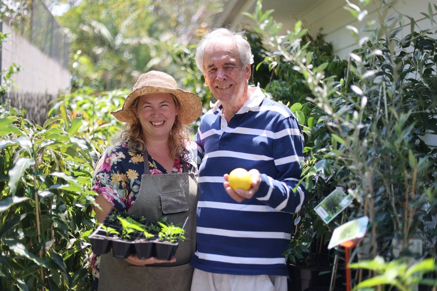 Nursery owner brings orchard delights to suburban gardens — The