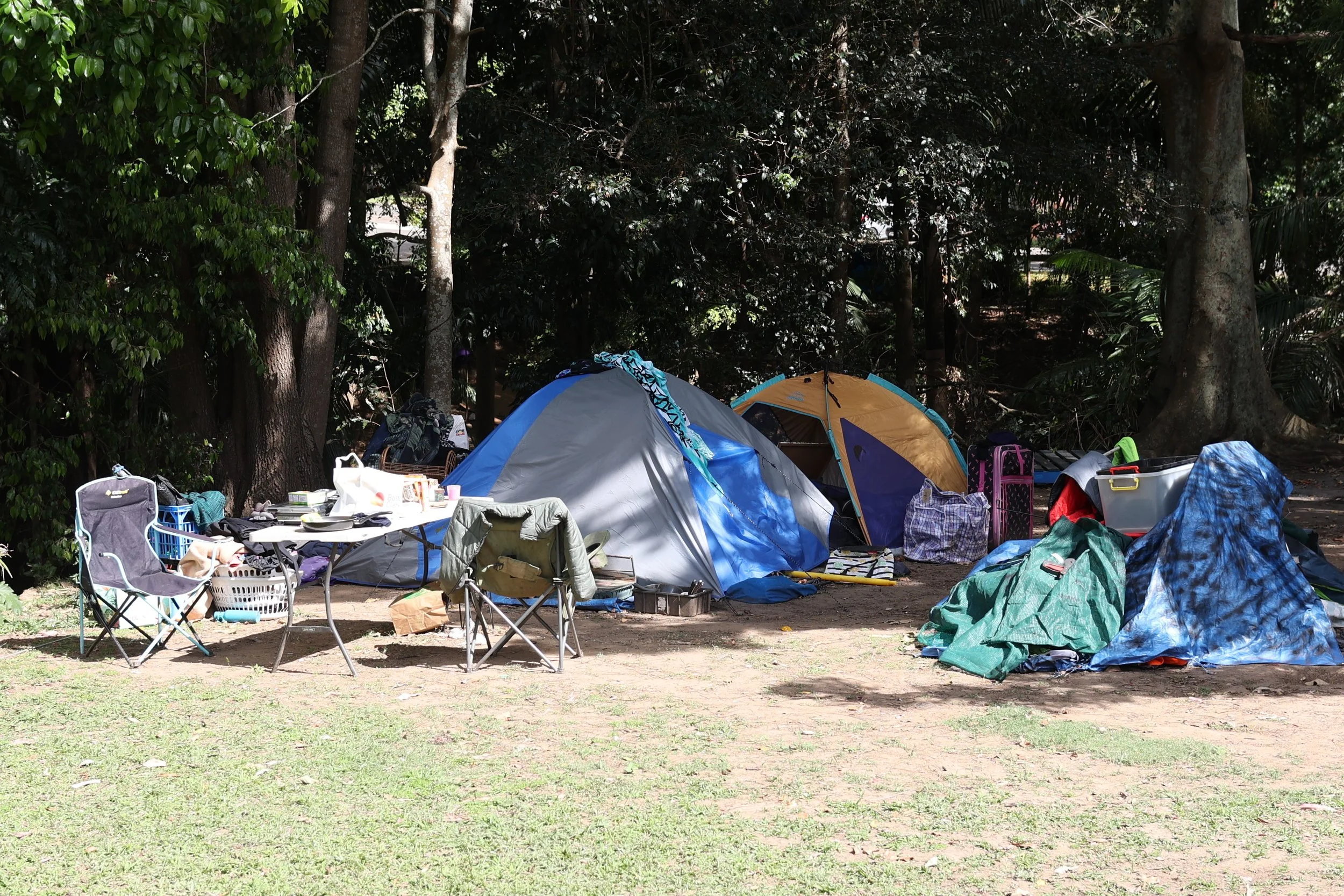 Letters to the Editor