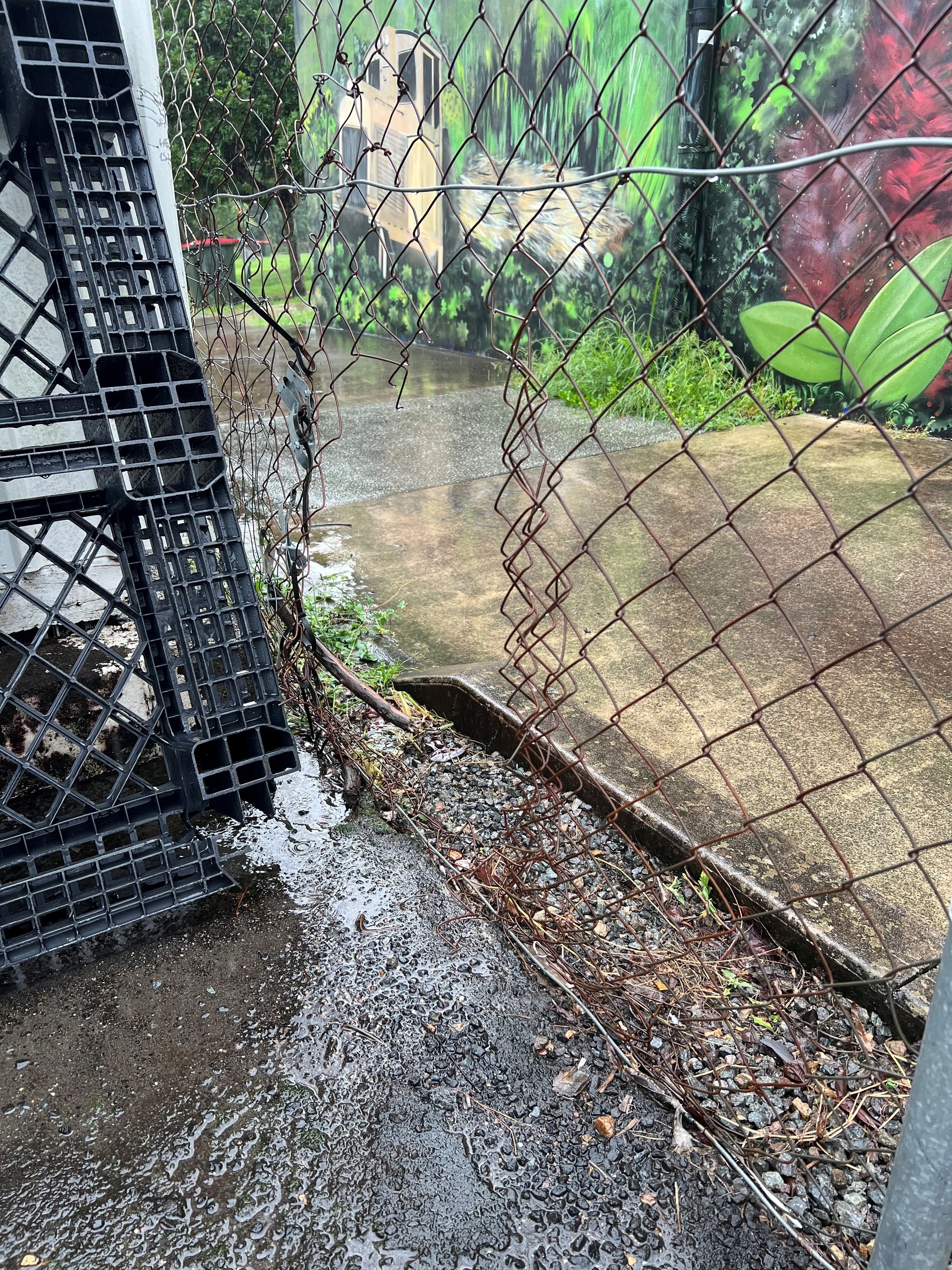 Thief breaks in to Nambour Outdoor Power during downpour