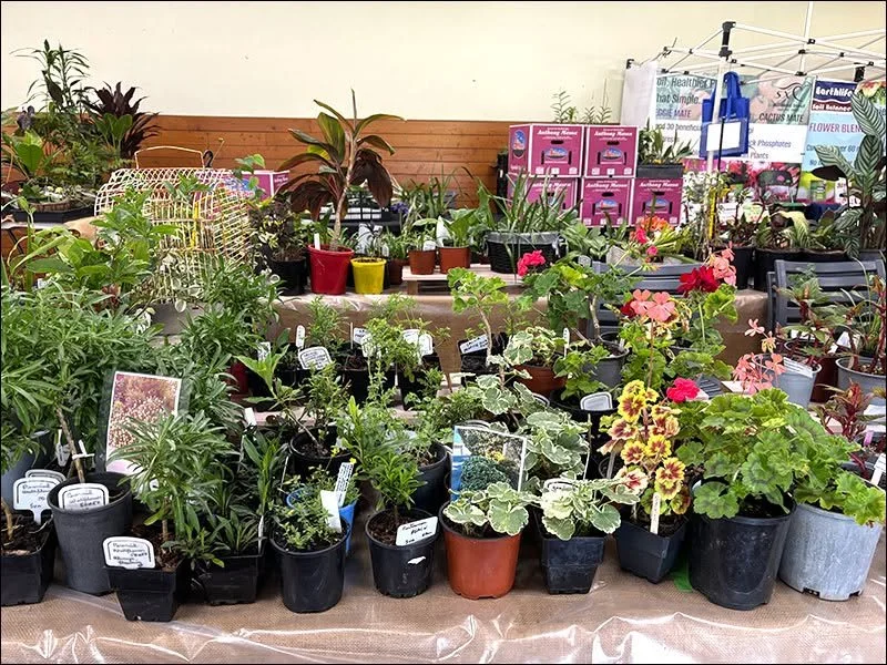 Annual Spring Fair coming to Maleny Showgrounds in October