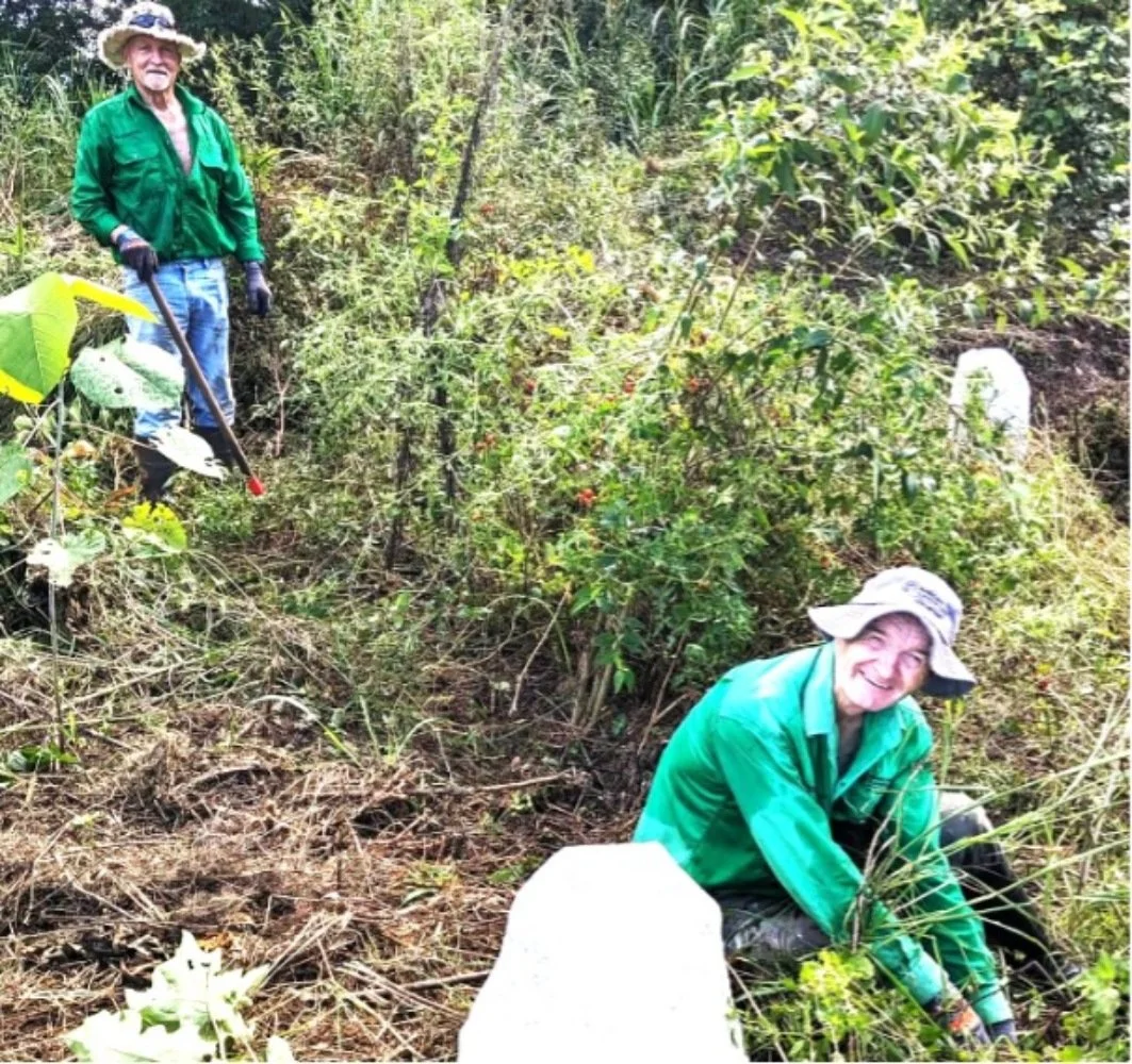 Bushcare returns to the Gulung Site