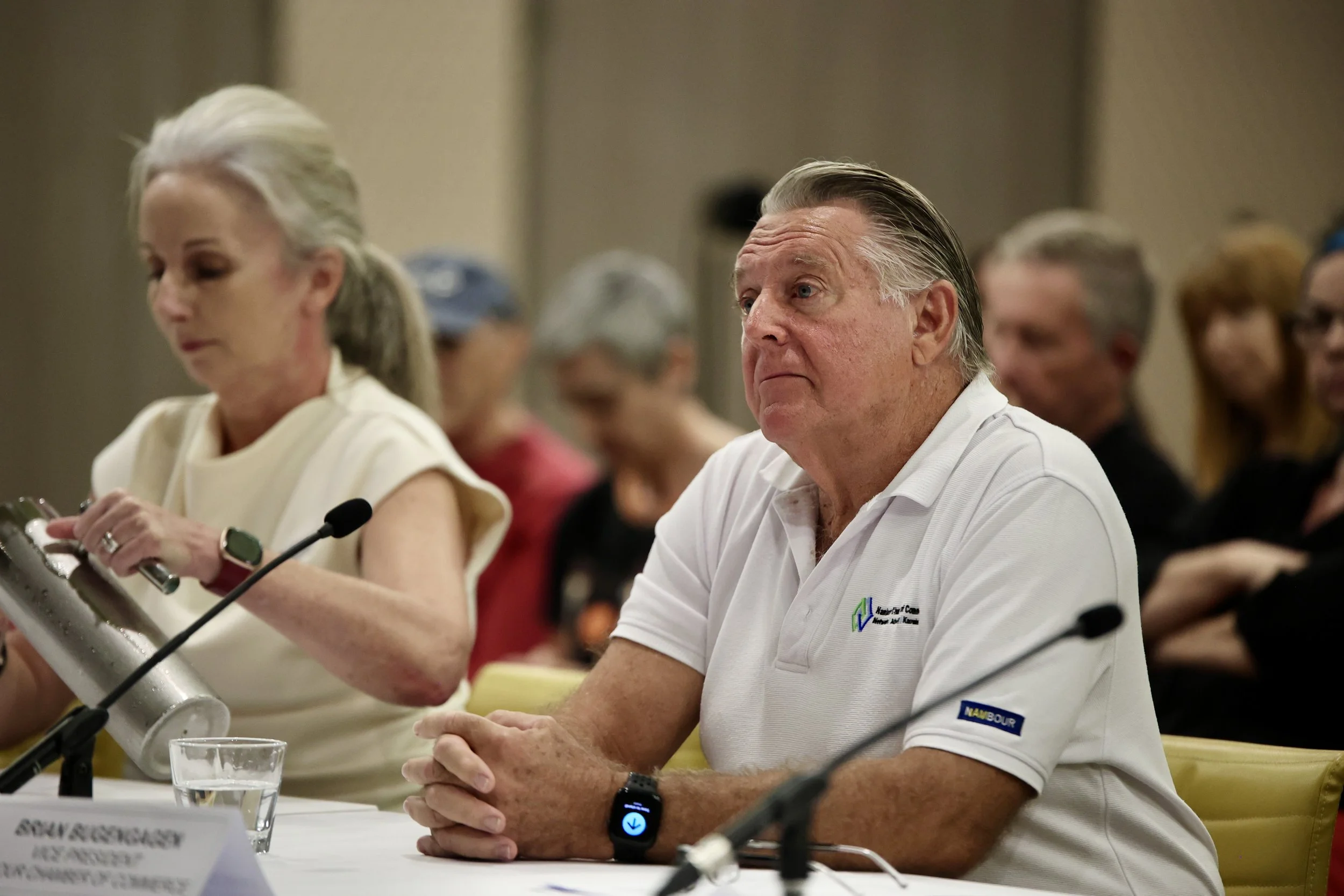 Businesses tell MPs fear is hurting Nambour CBD