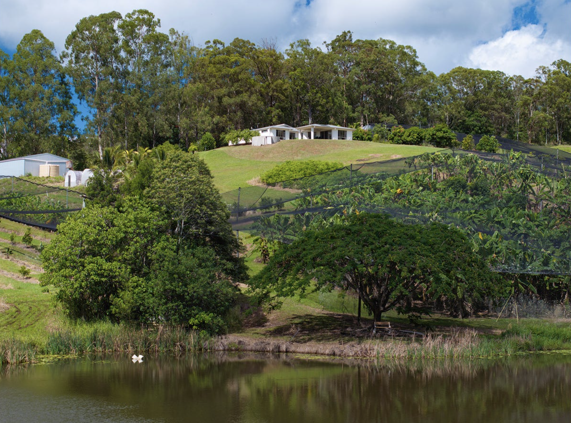 Elevated hinterland haven: 30 acres of lifestyle, farmlet &amp; income potential