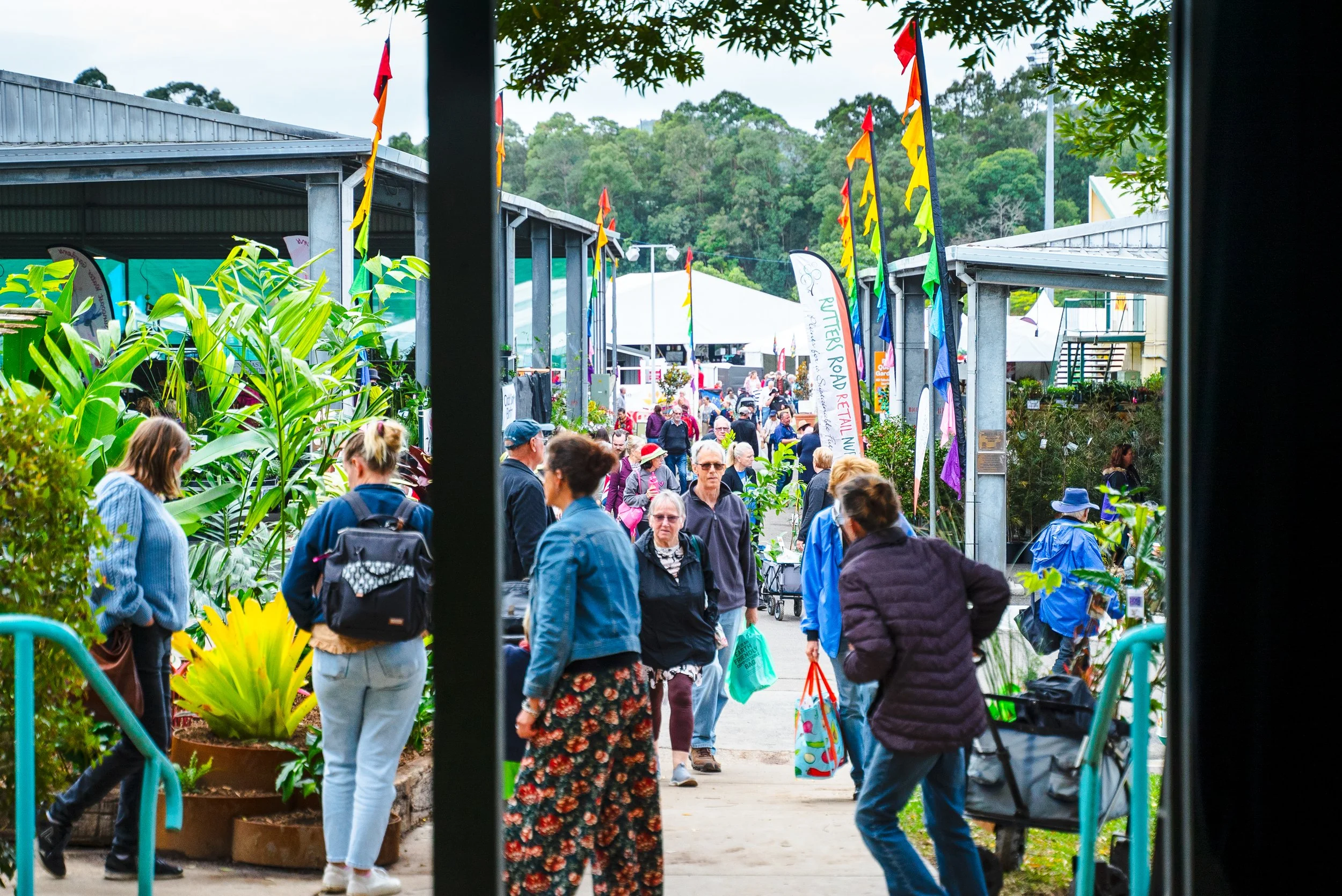 Gates open today for the 42nd Qld Garden Show