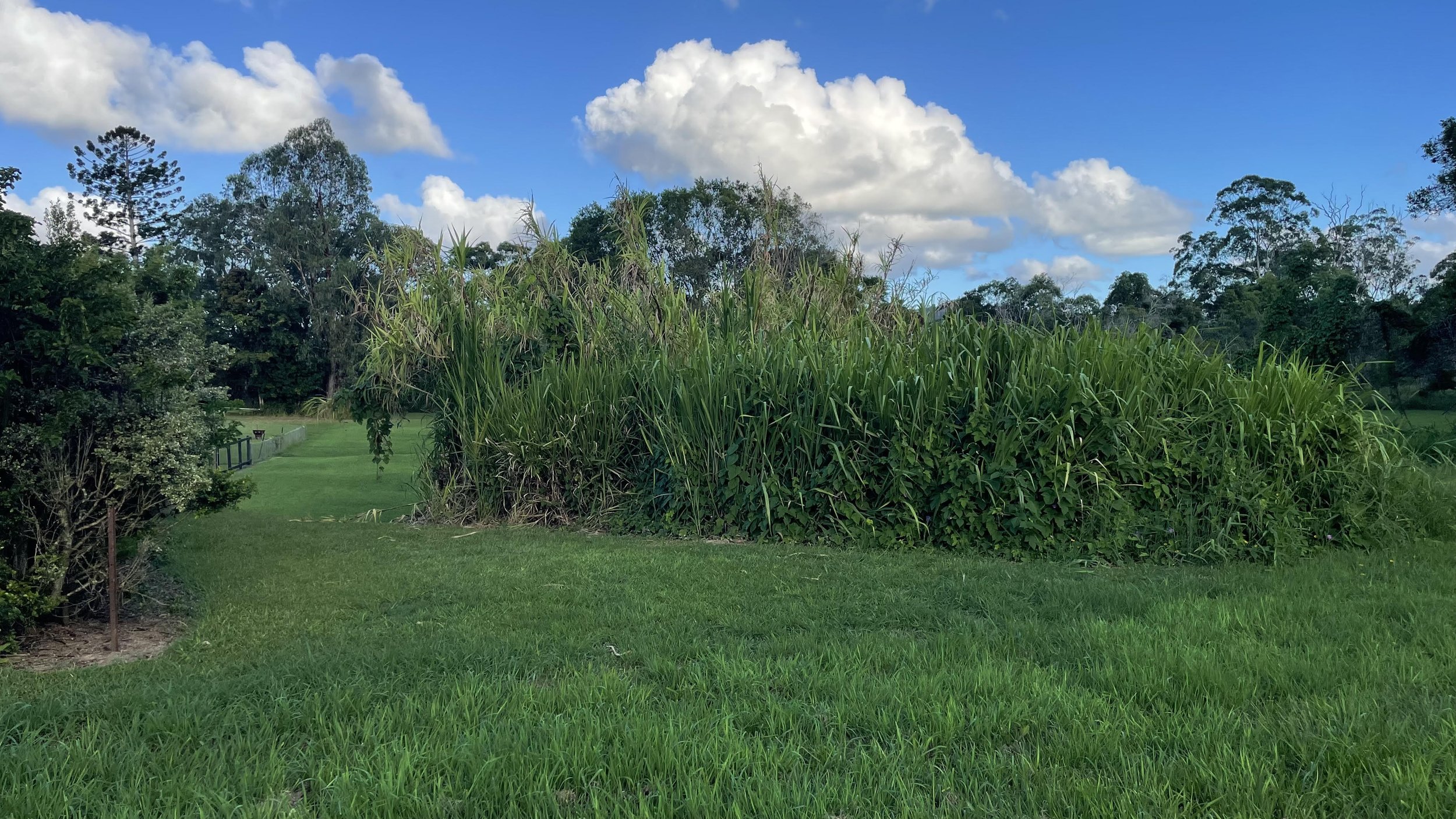 North Arm residents call for action on ‘Bunya Speedway’