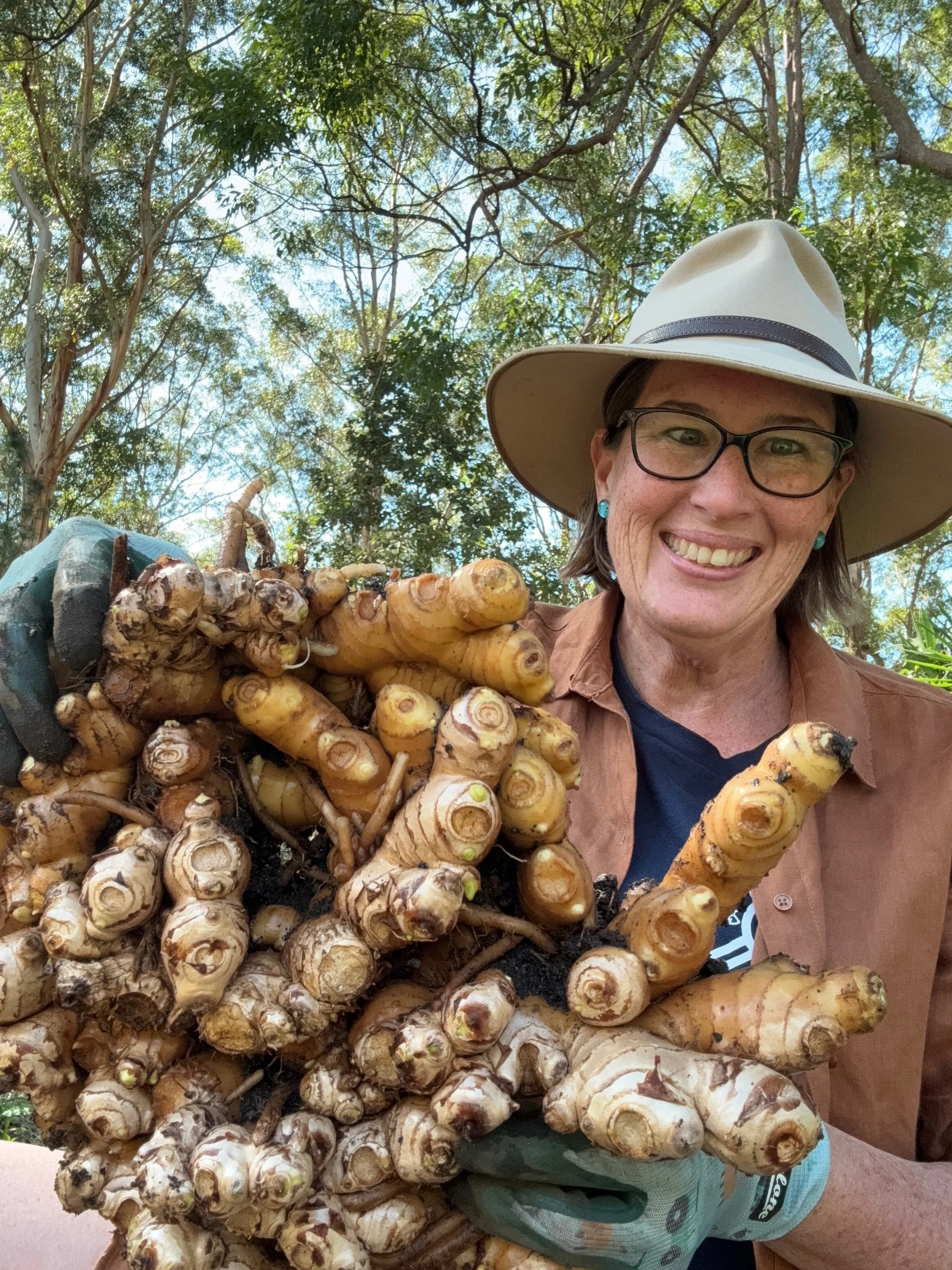 Ginger grows so easily in our hinterland gardens &amp; it’s fun!&nbsp;