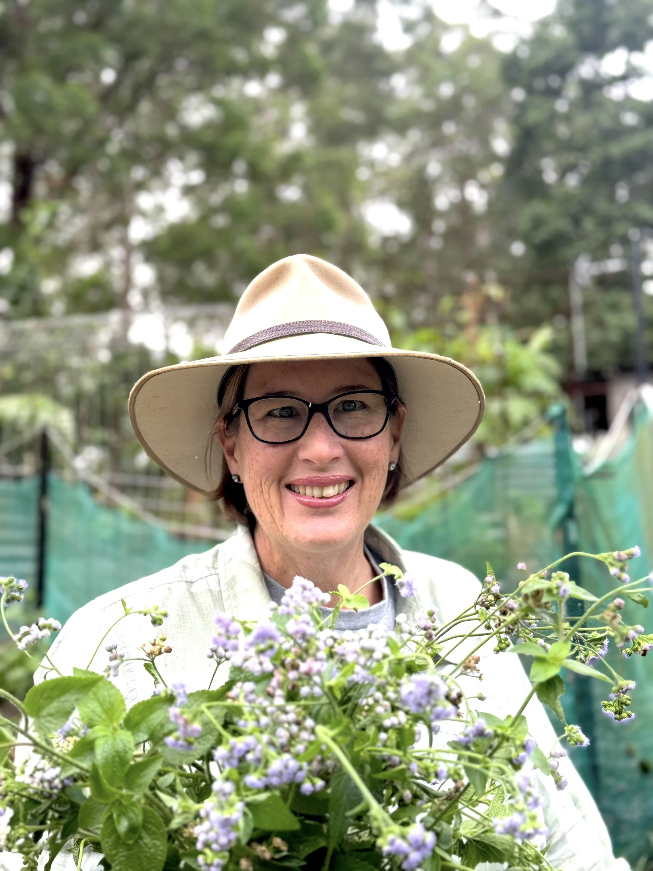 Why weeds take over &amp; what gardeners can do&nbsp;