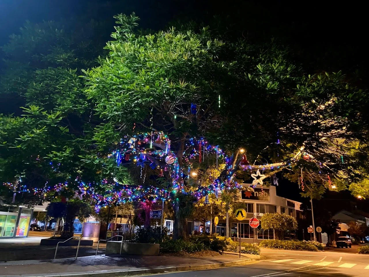 Follow the sparkle: explore our festive lights