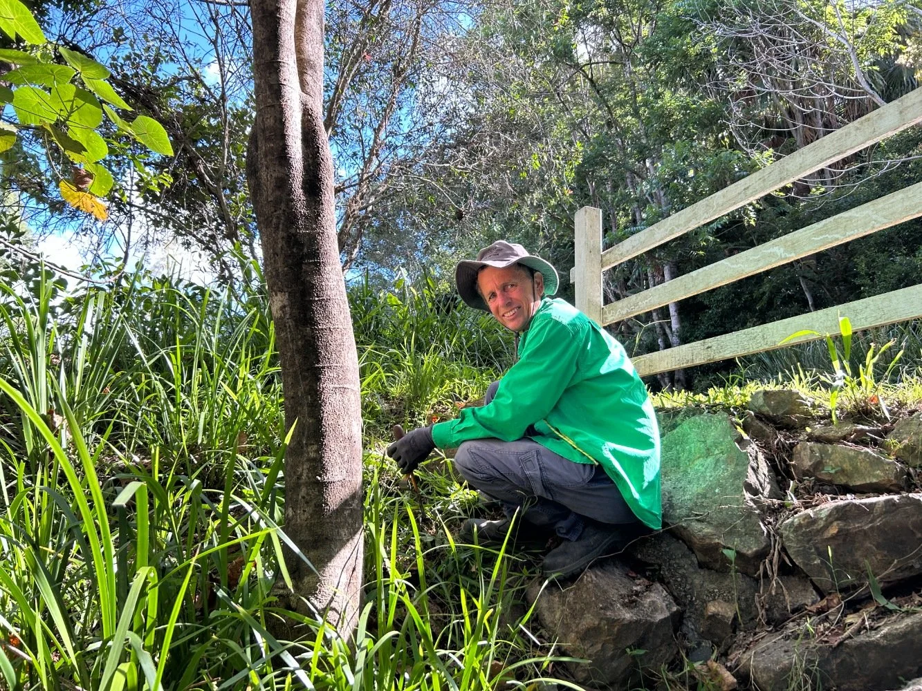 Quiet creek, committed team: BushCarers&nbsp; plant 70 seedlings