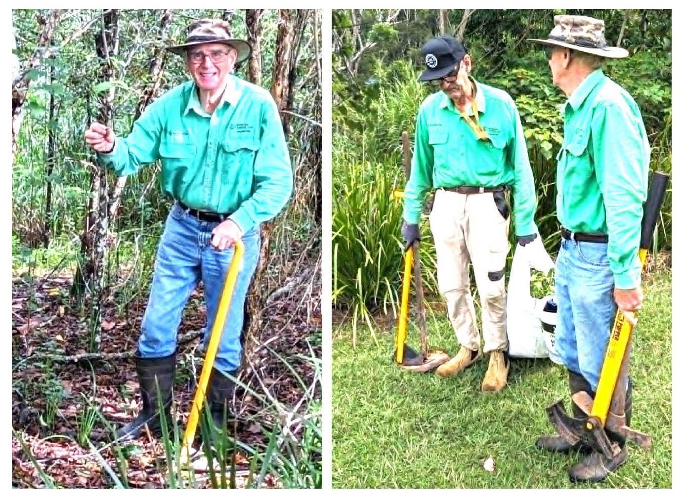Bushcarers kept busy removing young weed trees&nbsp;