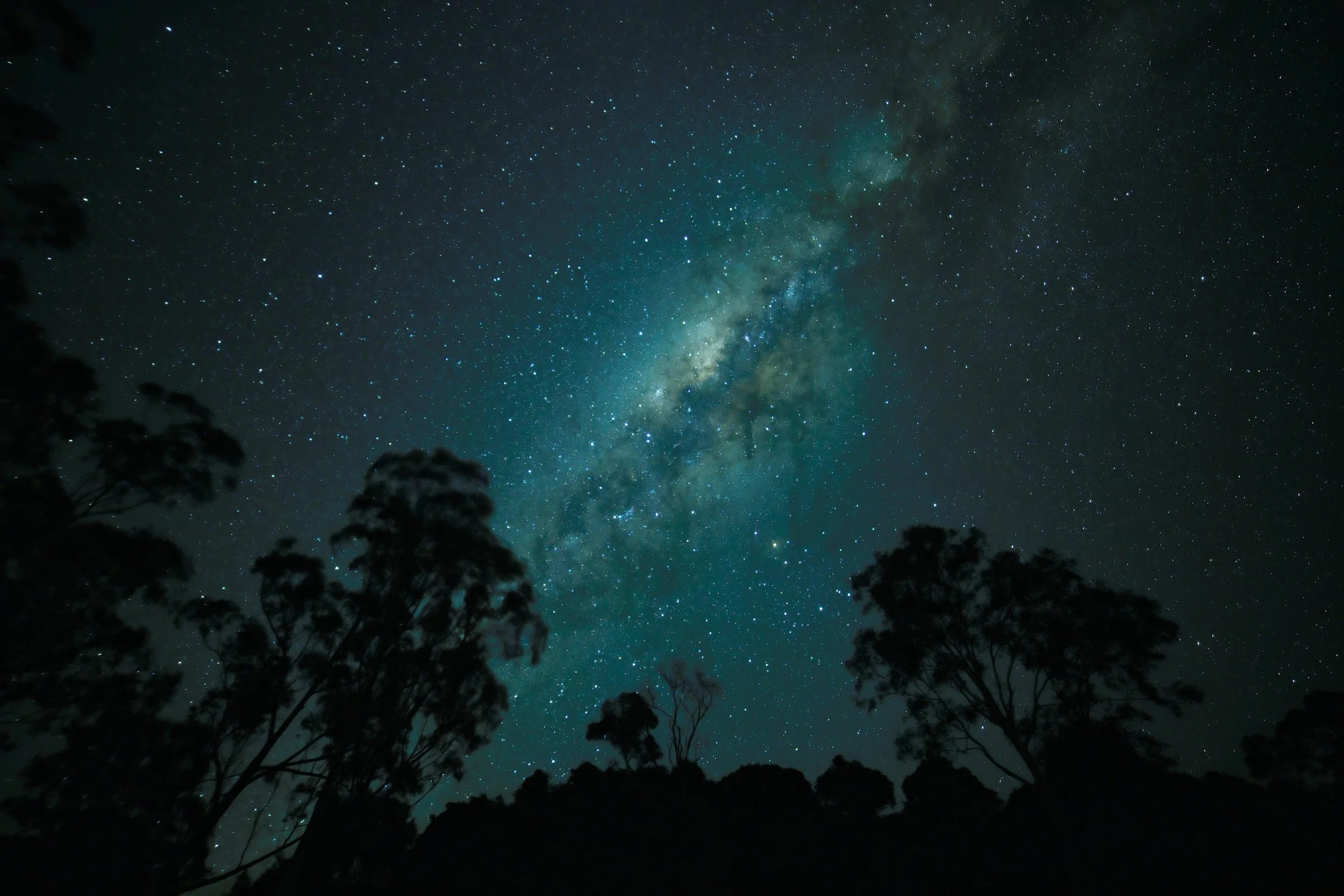 ‘Ripple effects’: support soars for dark sky haven