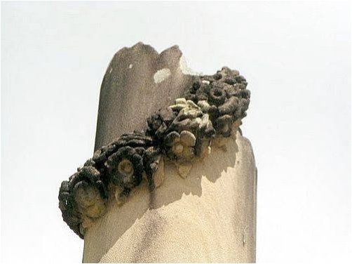 ‘Why is the memorial broken at the top?’: ANZAC Day 2026 and the story behind the Woombye Cenotaph