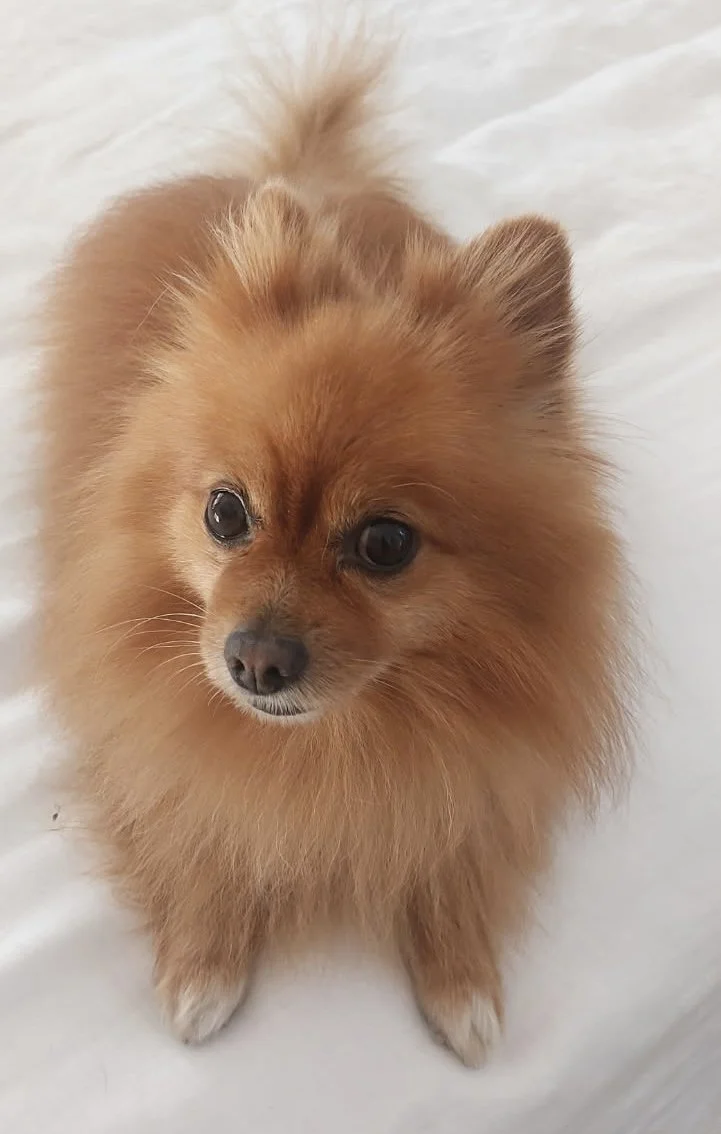 Teddy is ready for a fresh start