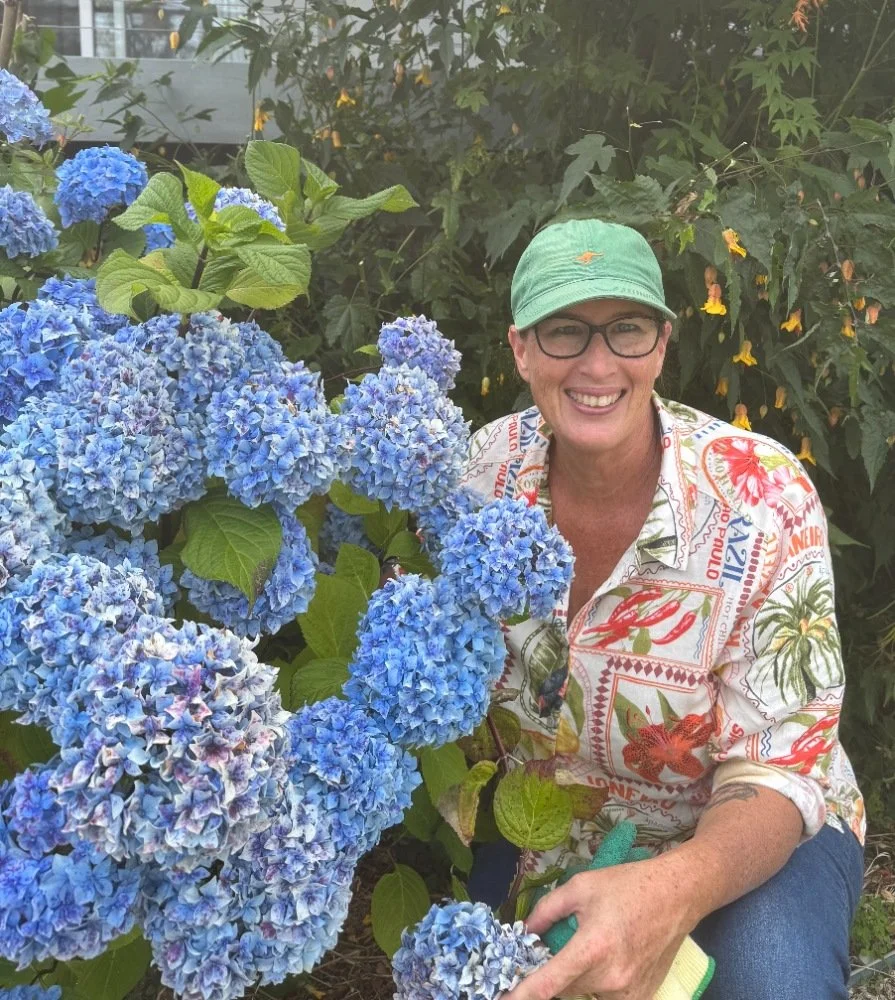 Hydrangeas, home gardens and a slower pace of life in picture perfect Tasmania
