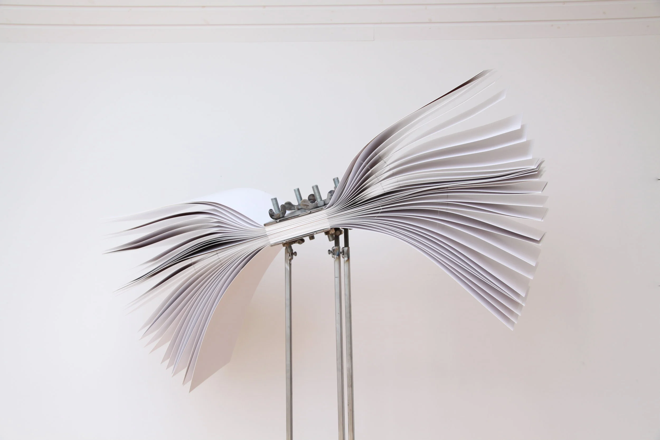wing beat 220x155cm iron and paper