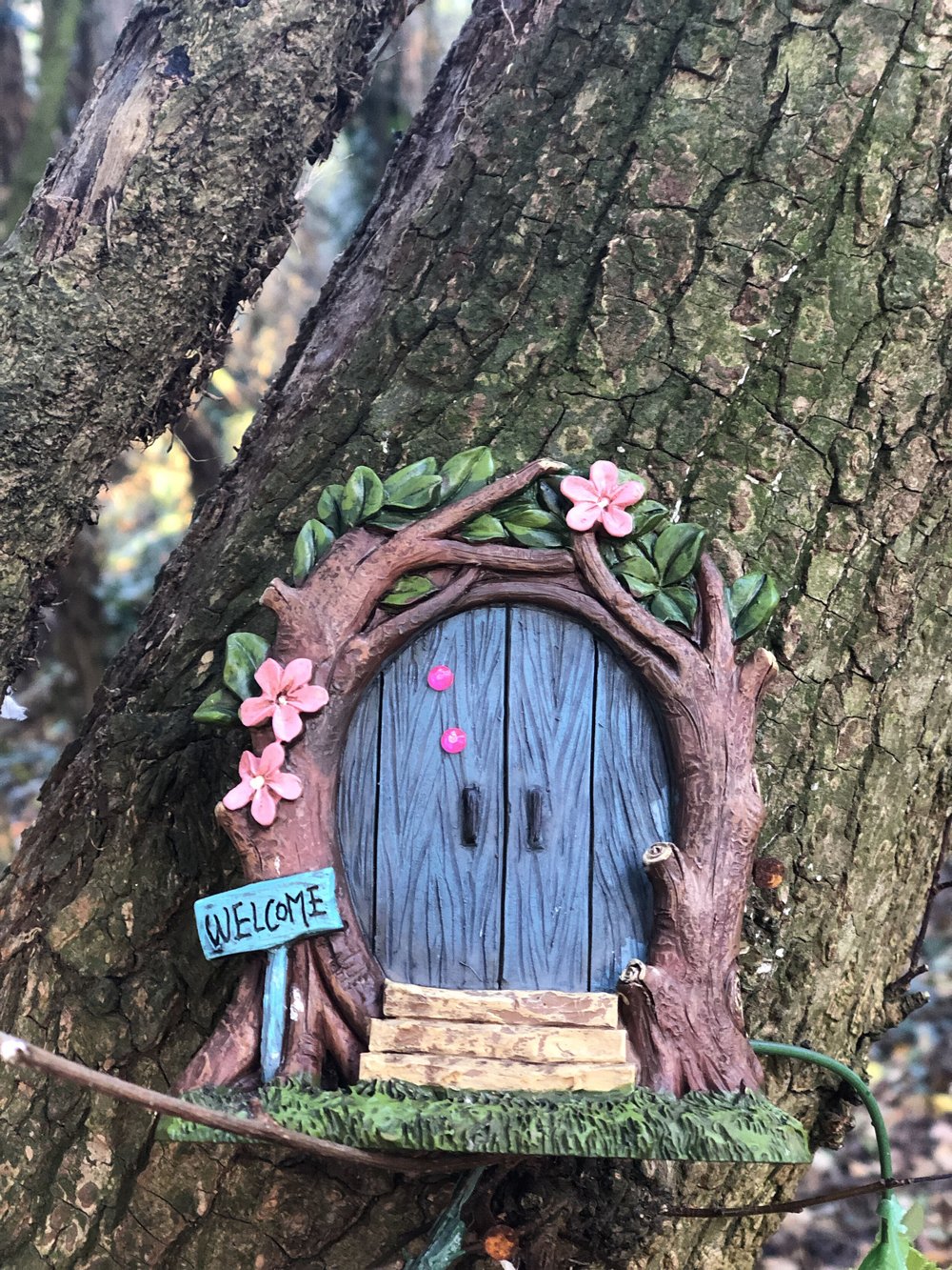 Bloom Blog — OUR TRUE ESSENCE